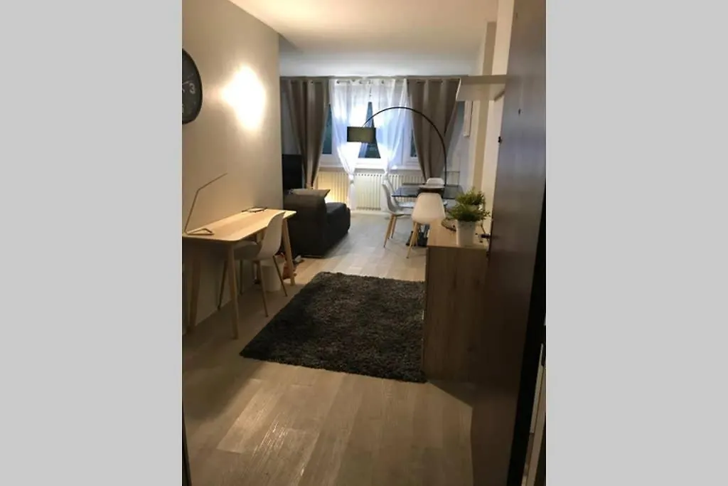 Appartement, confortable, aux portes de Genève Ferney-Voltaire