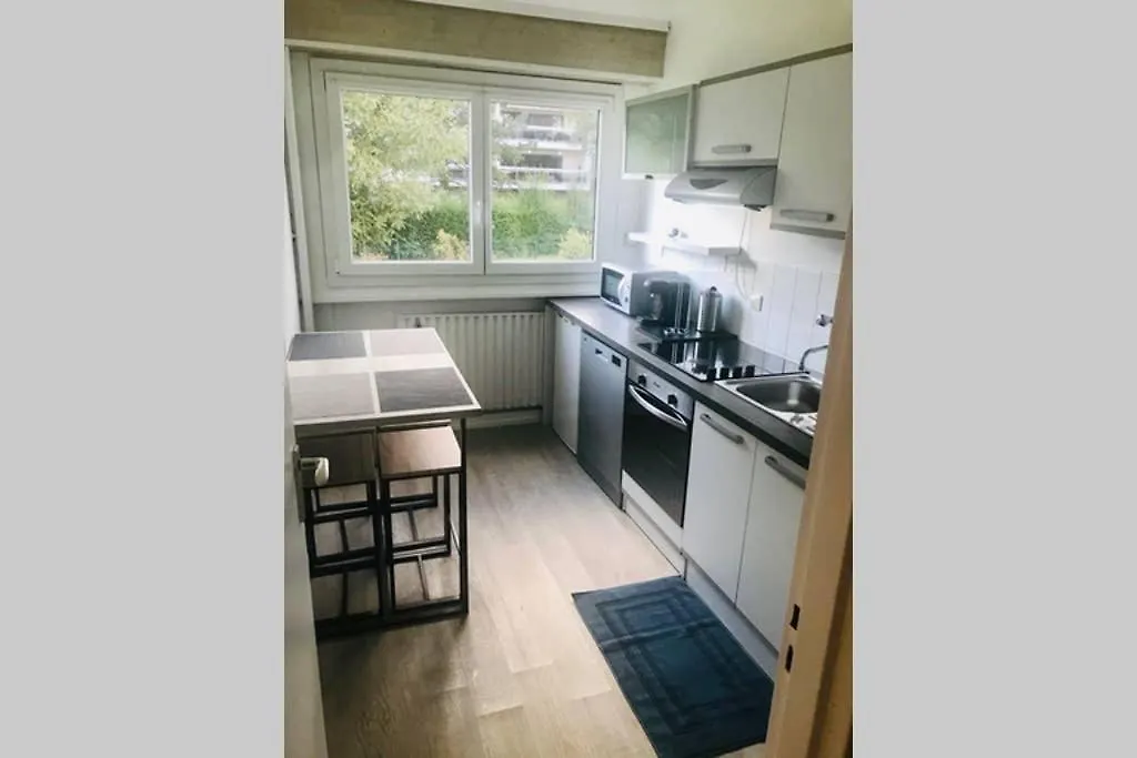 Appartement, confortable, aux portes de Genève Ferney-Voltaire